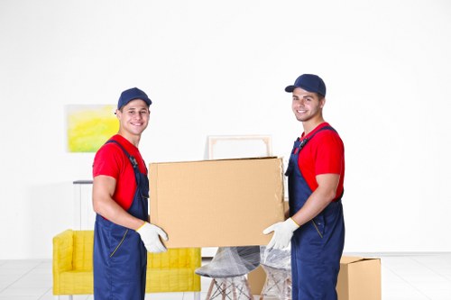 Protective packing materials for fragile items in Westkensington
