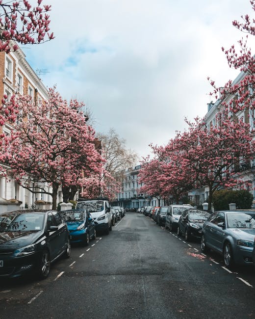 A residential street lined with parked cars on both sides, with a row of blooming pink cherry blossom trees overhead, each with abundant flowers and dark branches contrasting against the pastel pink blossoms. The street is paved with asphalt and has clearly marked parking bays. Victorian-style terraced houses with white facades and detailed brickwork are visible along the sides, some with small front gardens and typical sash windows. The sky above is partly cloudy with patches of blue visible. This scene captures a peaceful, well-maintained neighborhood typical of West Kensington, suitable for house removals or moving services like those offered by West Kensington Movers, with a focus on smooth, organized furniture transport and home relocation logistics.