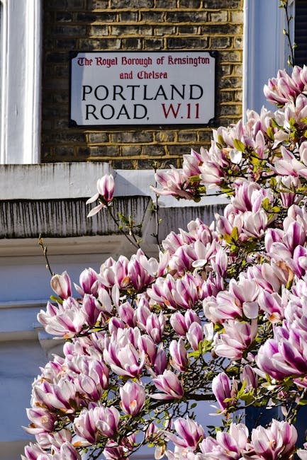 A residential street lined with parked cars on both sides, with a row of blooming pink cherry blossom trees overhead, each with abundant flowers and dark branches contrasting against the pastel pink blossoms. The street is paved with asphalt and has clearly marked parking bays. Victorian-style terraced houses with white facades and detailed brickwork are visible along the sides, some with small front gardens and typical sash windows. The sky above is partly cloudy with patches of blue visible. This scene captures a peaceful, well-maintained neighborhood typical of West Kensington, suitable for house removals or moving services like those offered by West Kensington Movers, with a focus on smooth, organized furniture transport and home relocation logistics.